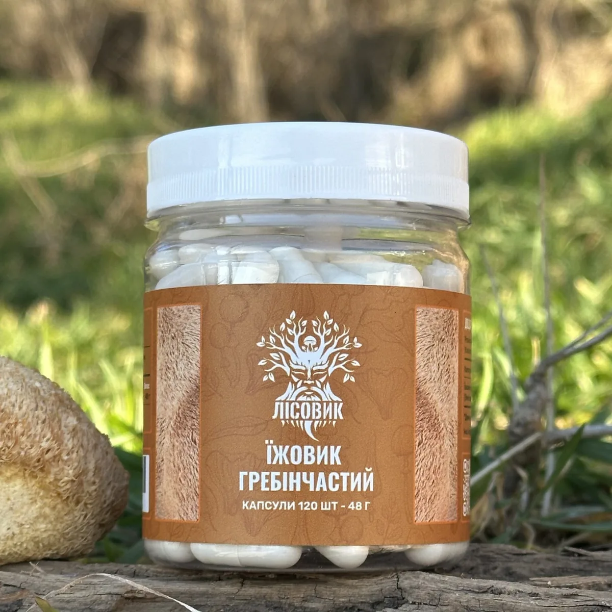 Ежовик гребенчатый Лесовик капсулы 120 шт - купить в MushroomEmpire
