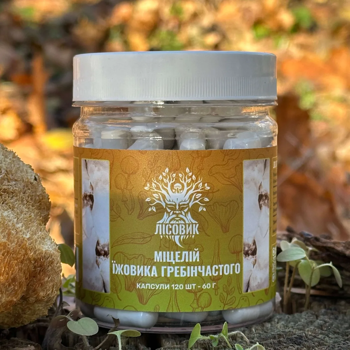 Капсулы Ежовика Гребенчатого Лесовик 120 шт - Мицелий для микродозинга