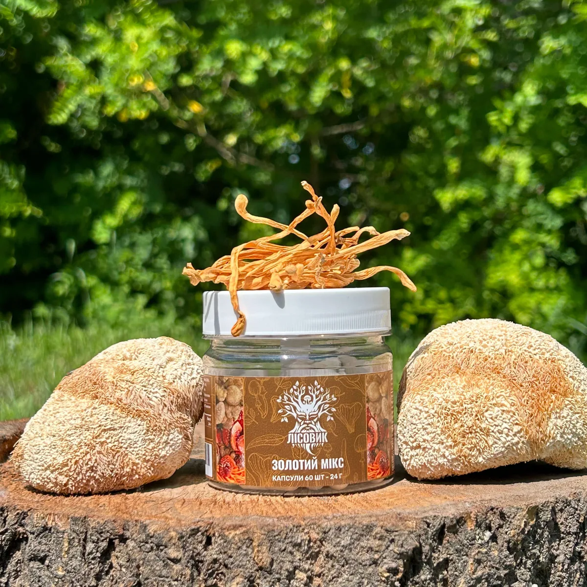 Золотой микс Лесовик (Мухомор, Ежовик, Рейши), капсулы 60 шт